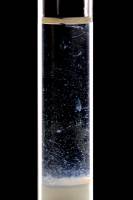 ADN - Mise en évidence (méduse d'ADN en formation)